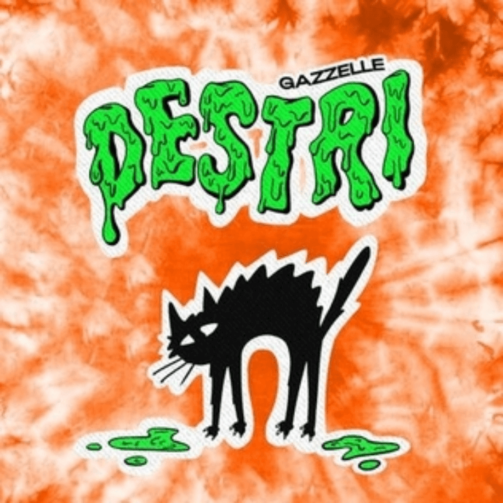 Album-Cover-it-05-Gazzelle-Destri