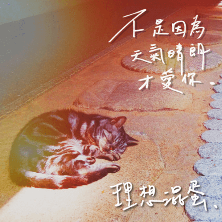 Album-Cover-zh-CN-02-Bestards-不是因为天气晴朗才爱你