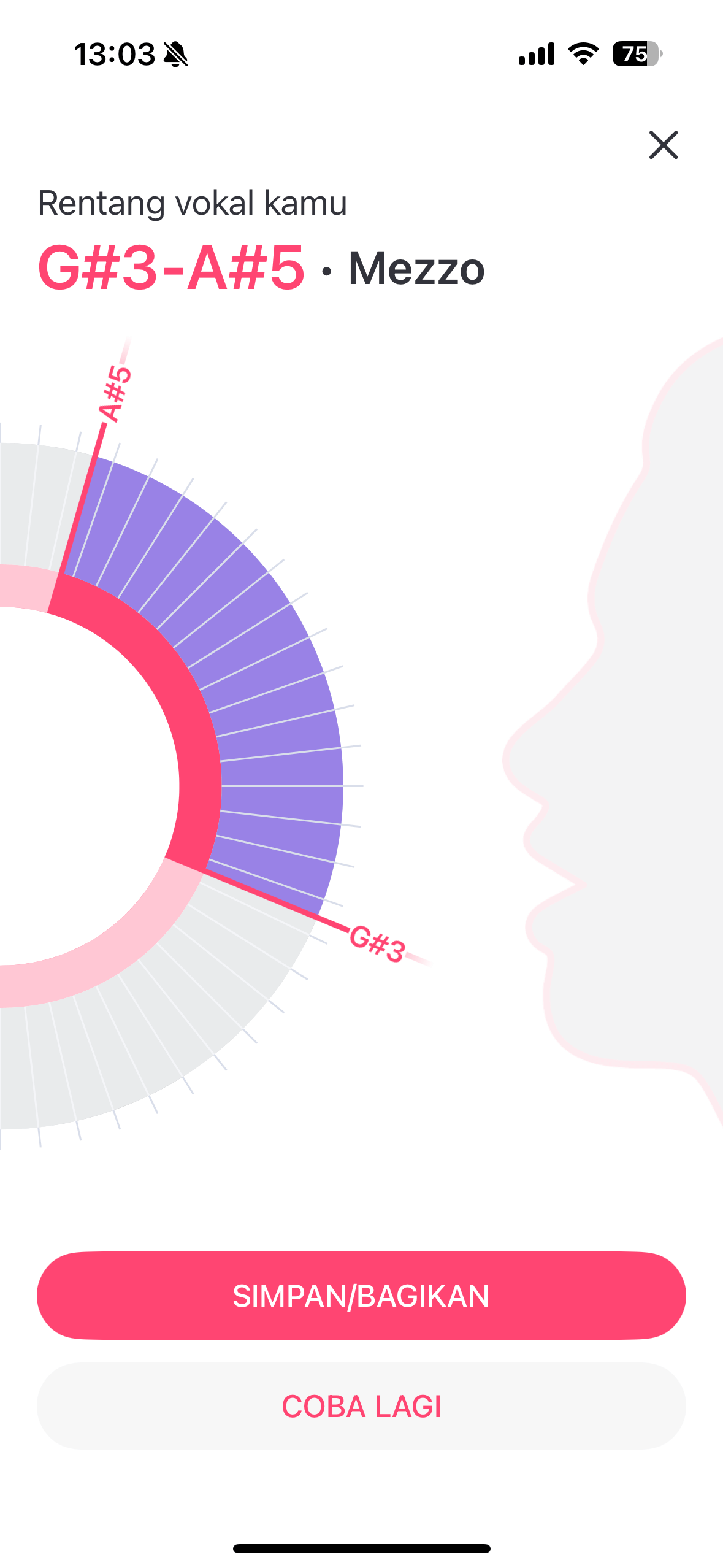 Vocal-range-test-result-in