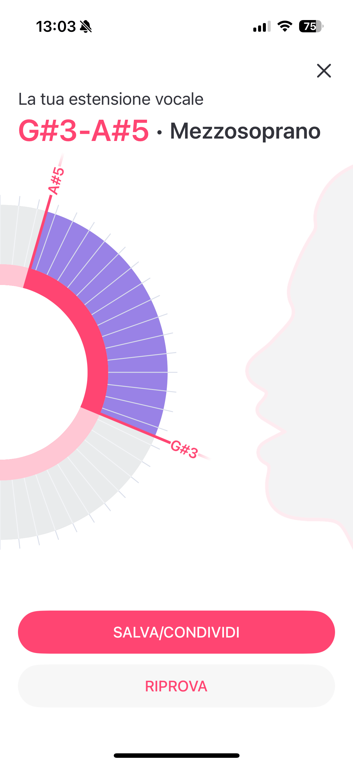 Vocal-range-test-result-it